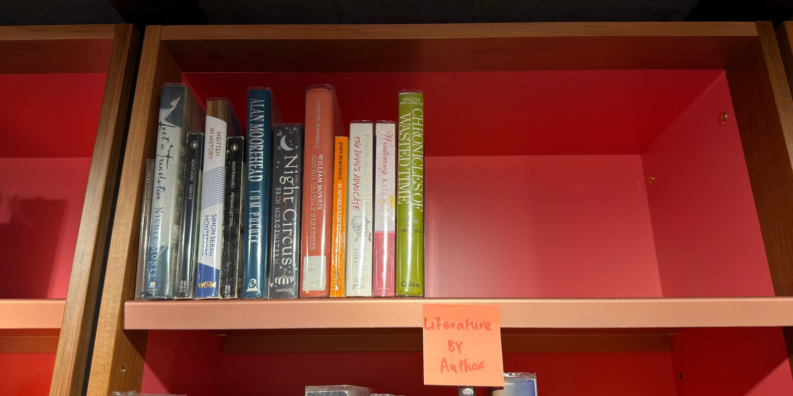 Shelfie Capture from May 29, 2026 2:25 PM