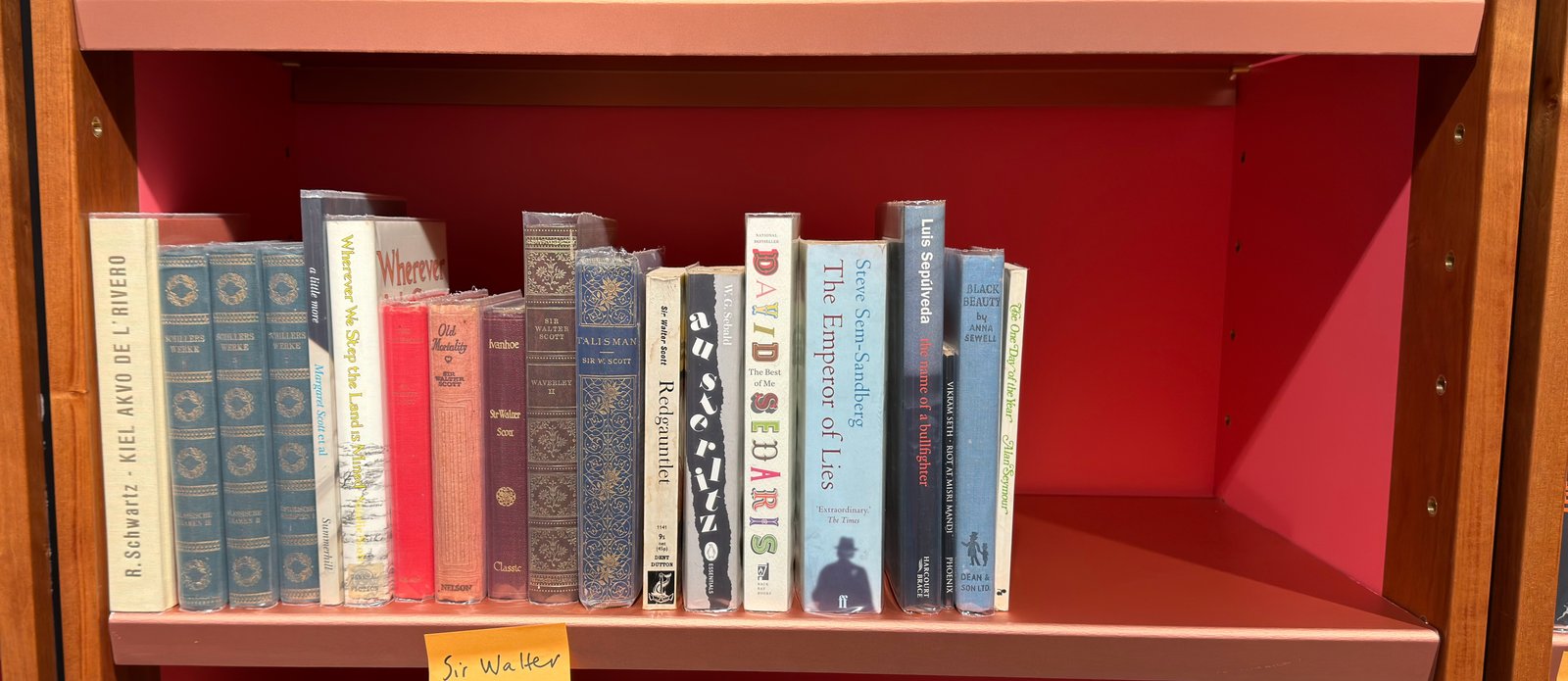 Shelfie Capture from May 19, 2026 11:35 AM