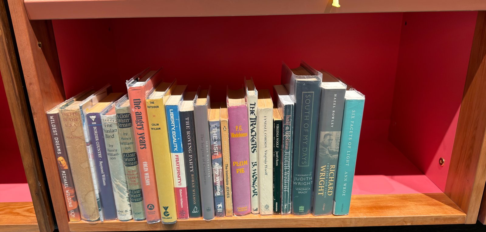 Shelfie Capture from May 19, 2026 11:39 AM