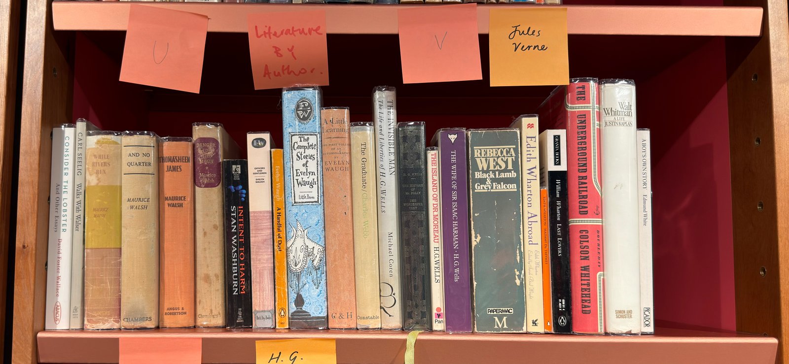 Shelfie Capture from May 29, 2026 2:28 PM