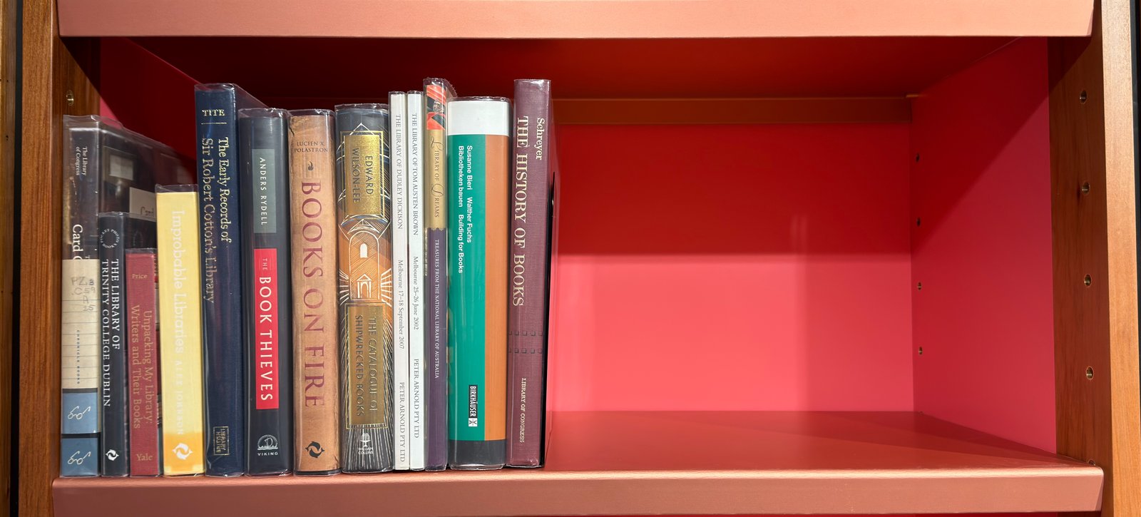 Shelfie Capture from May 19, 2026 11:11 AM