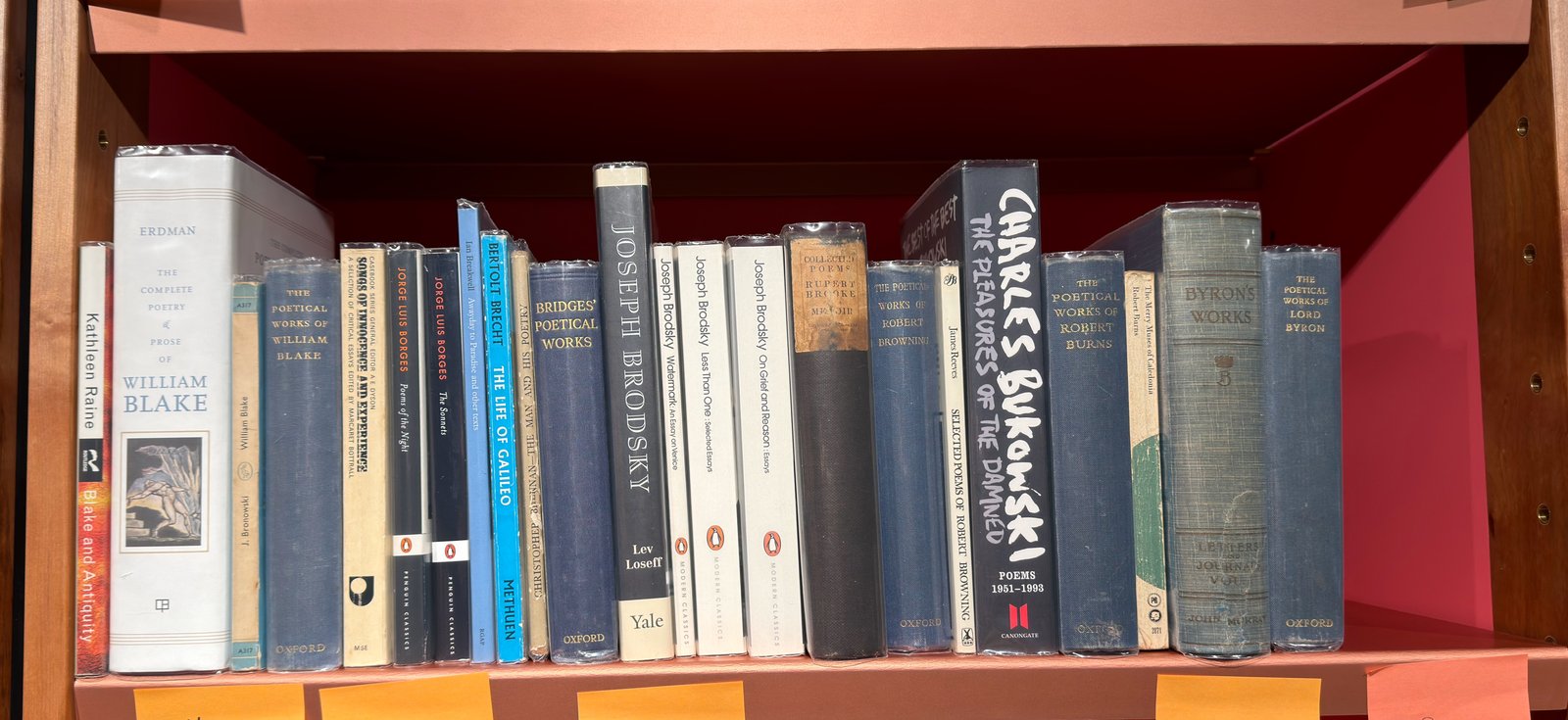 Shelfie Capture from May 19, 2026 11:44 AM
