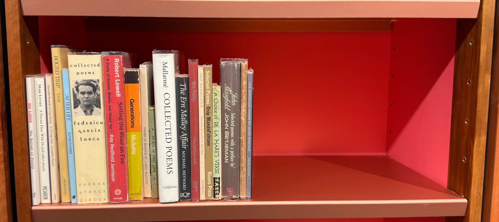 Shelfie Capture from May 19, 2026 11:47 AM