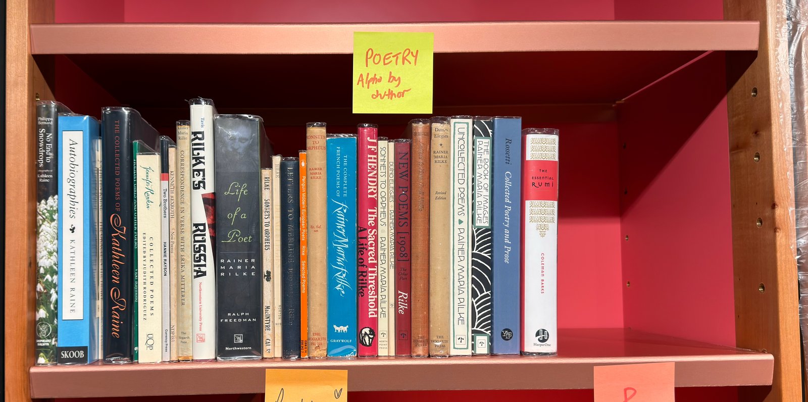 Shelfie Capture from May 19, 2026 11:48 AM