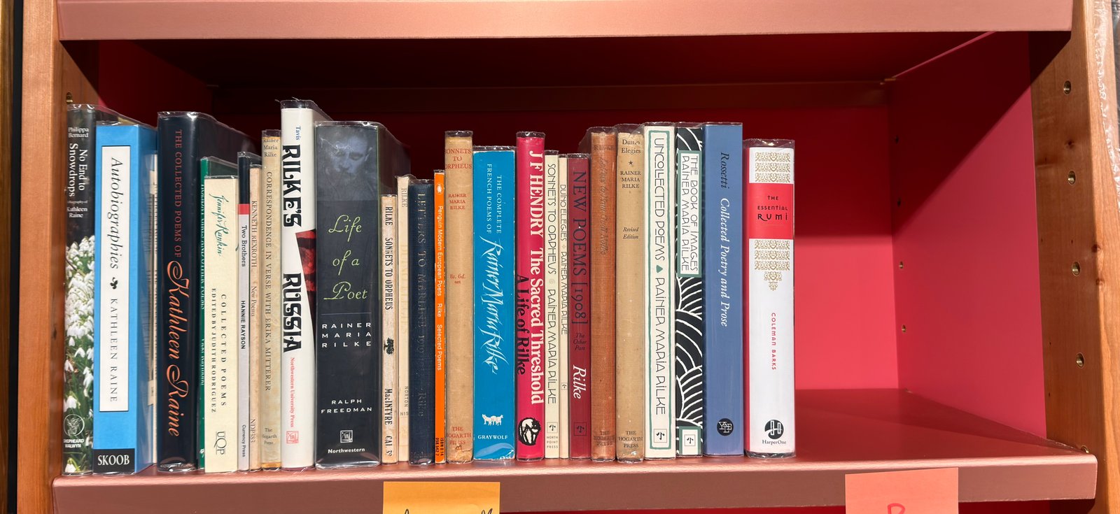 Shelfie Capture from May 19, 2026 11:48 AM