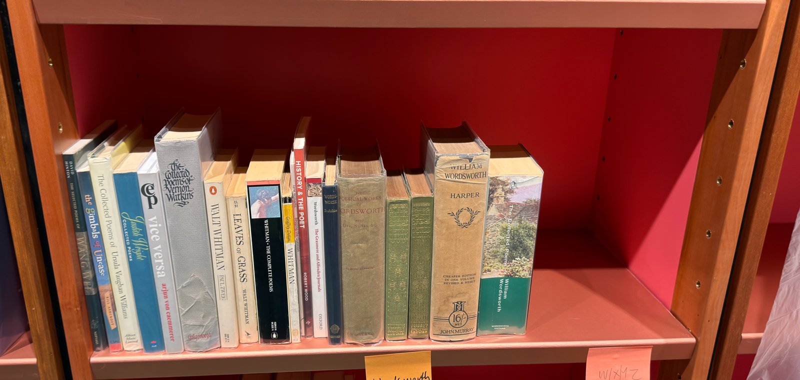 Shelfie Capture from May 19, 2026 11:49 AM