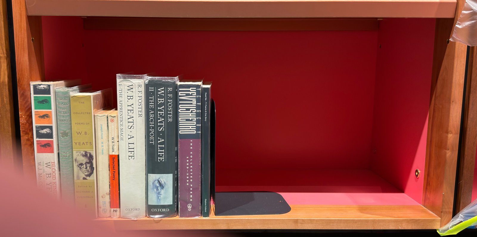 Shelfie Capture from May 19, 2026 11:49 AM