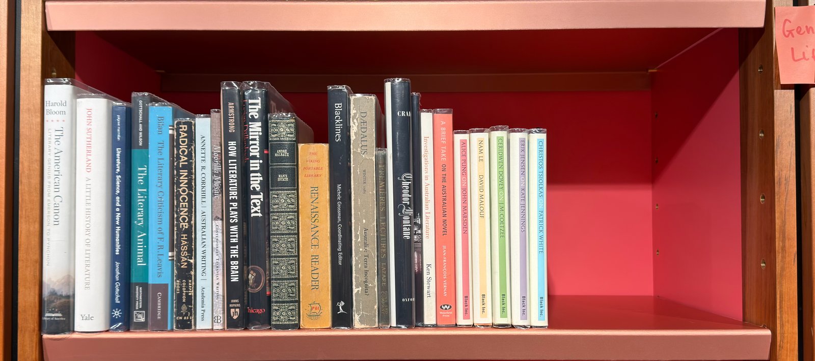 Shelfie Capture from May 19, 2026 11:13 AM