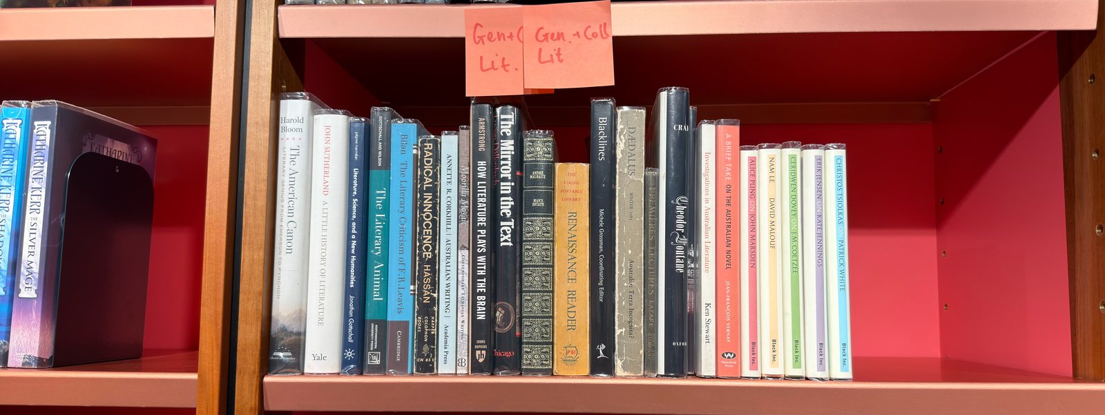 Shelfie Capture from May 29, 2026 2:17 PM