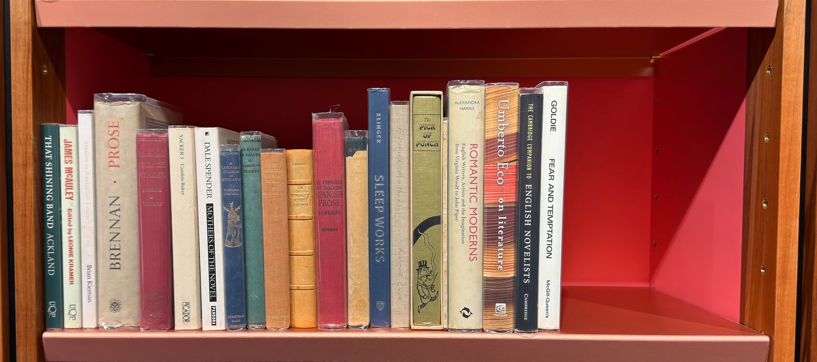 Shelfie Capture from May 19, 2026 11:14 AM