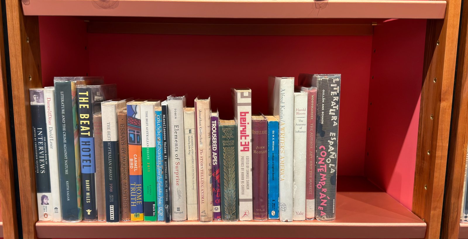Shelfie Capture from May 19, 2026 11:14 AM