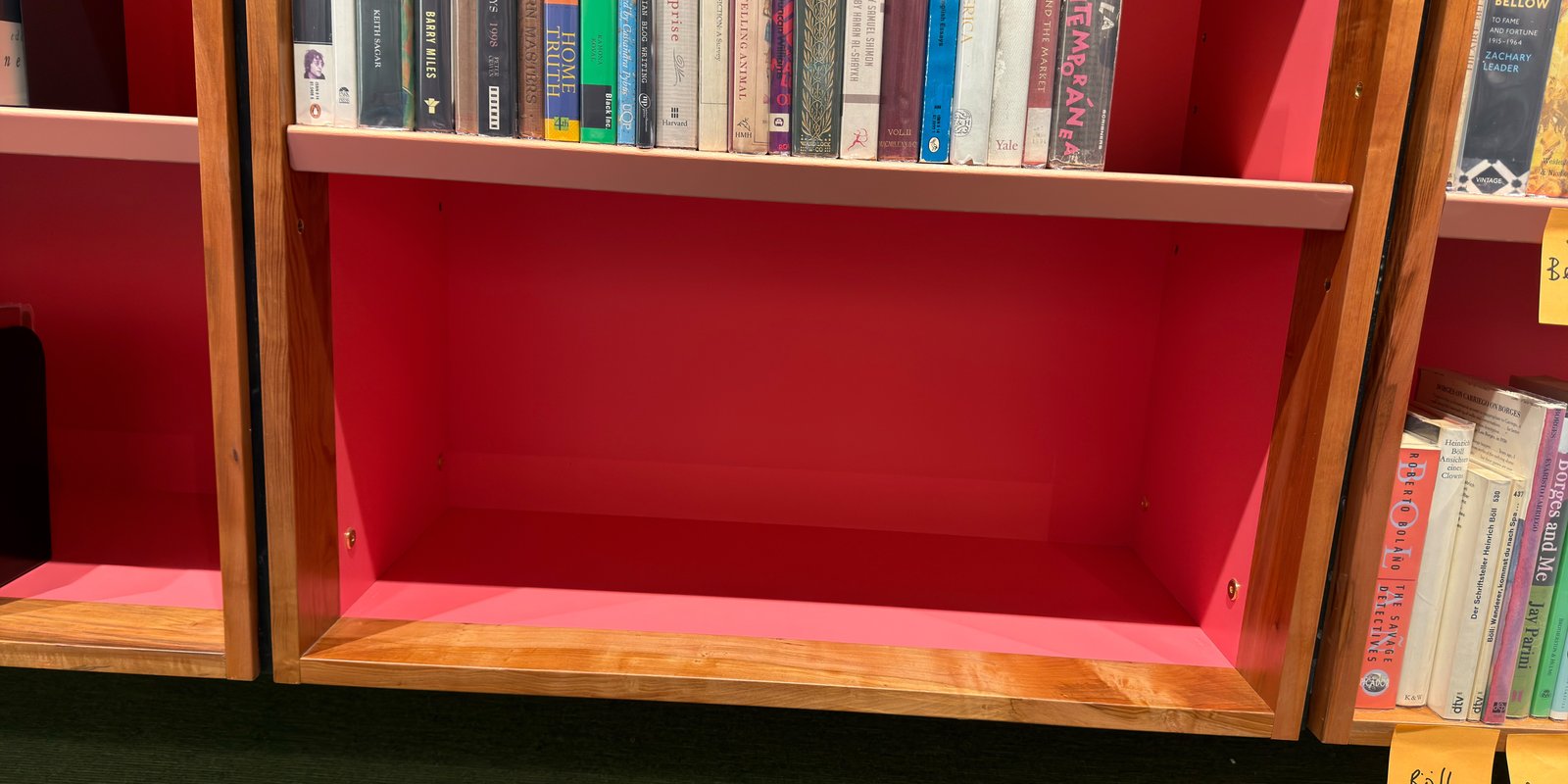 Shelfie Capture from May 19, 2026 11:14 AM