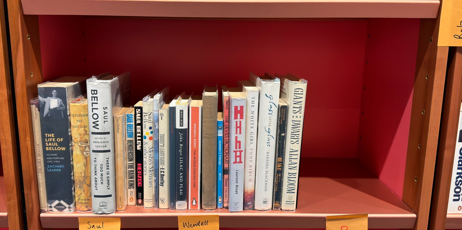 Shelfie Capture from May 19, 2026 11:16 AM