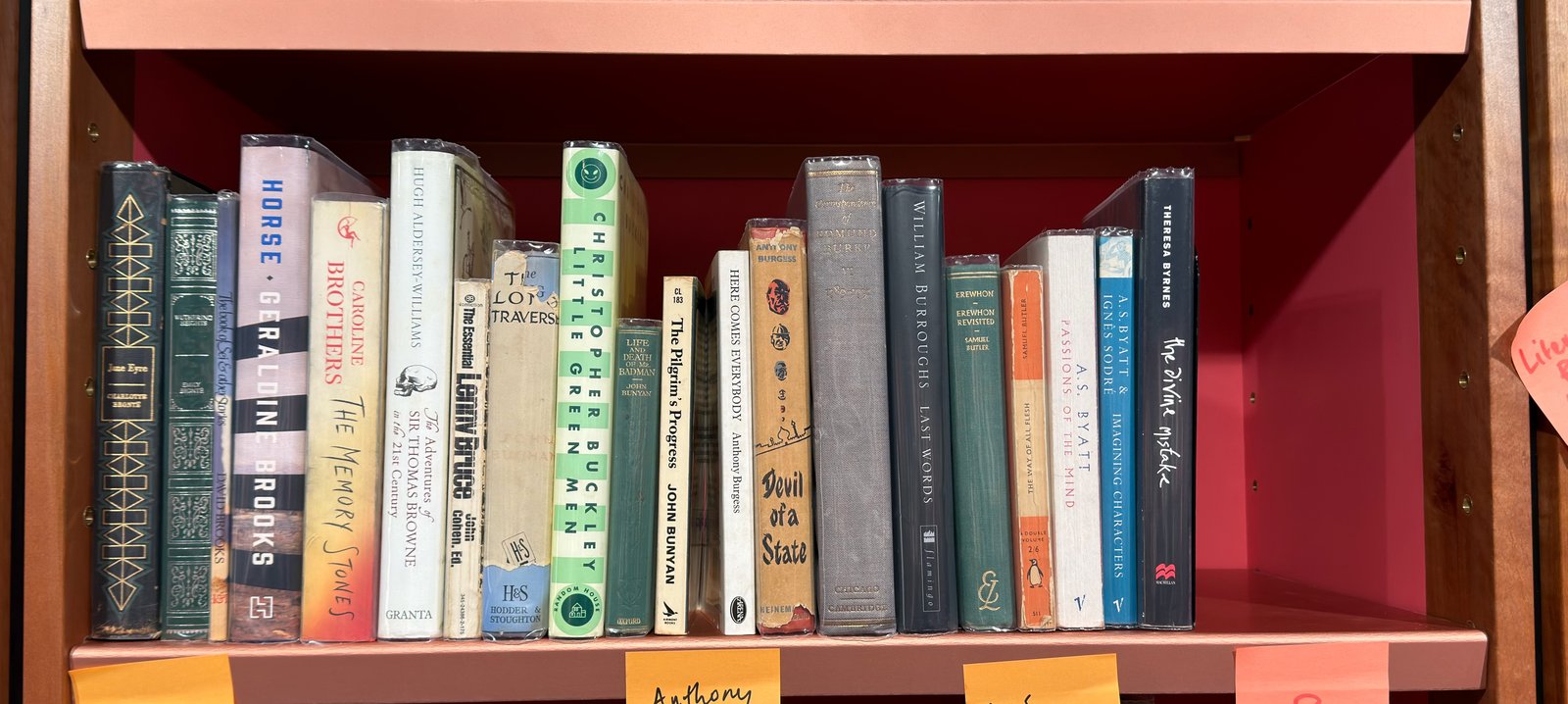 Shelfie Capture from May 19, 2026 11:17 AM