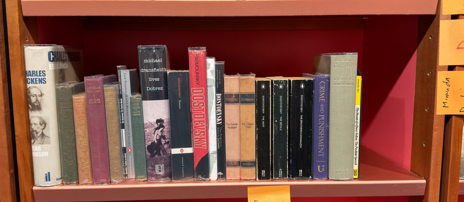 Shelfie Capture from May 19, 2026 11:20 AM