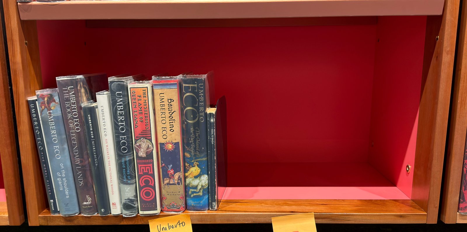 Shelfie Capture from May 19, 2026 11:21 AM