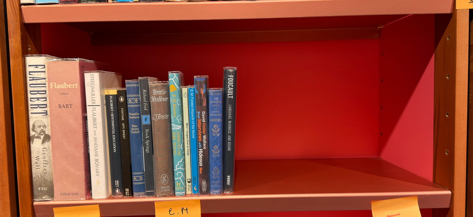 Shelfie Capture from May 19, 2026 11:22 AM