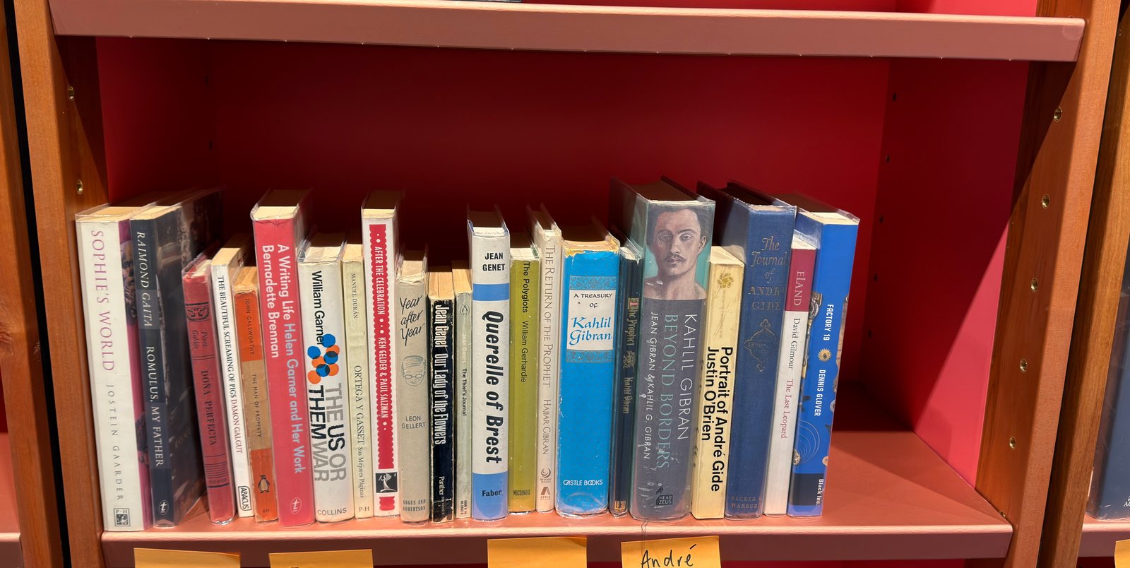 Shelfie Capture from May 19, 2026 11:23 AM