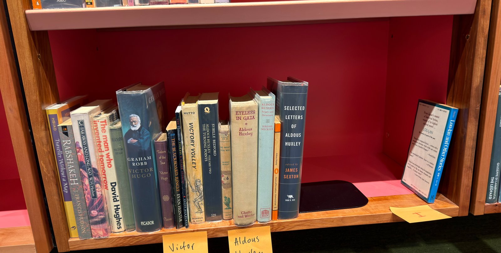 Shelfie Capture from May 19, 2026 11:25 AM