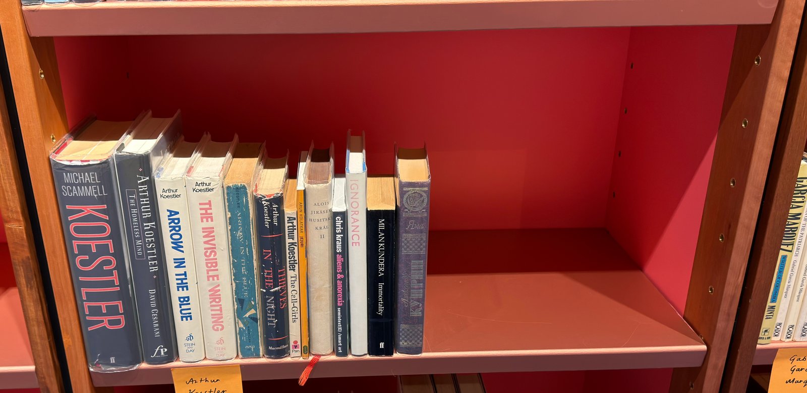Shelfie Capture from May 19, 2026 11:27 AM