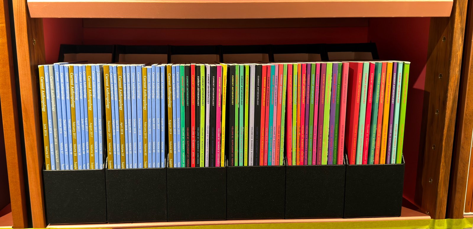 Shelfie Capture from May 19, 2026 4:39 PM