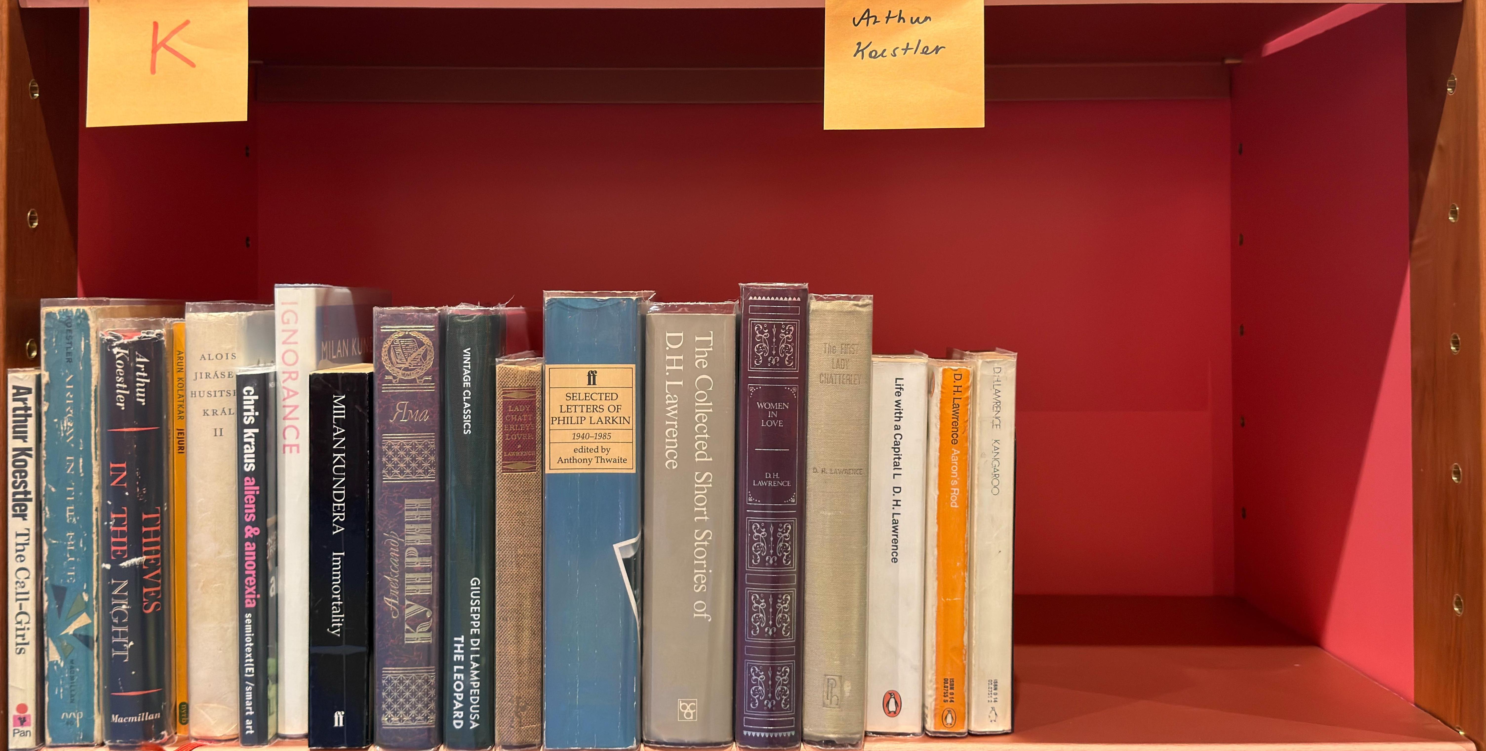 Shelf image