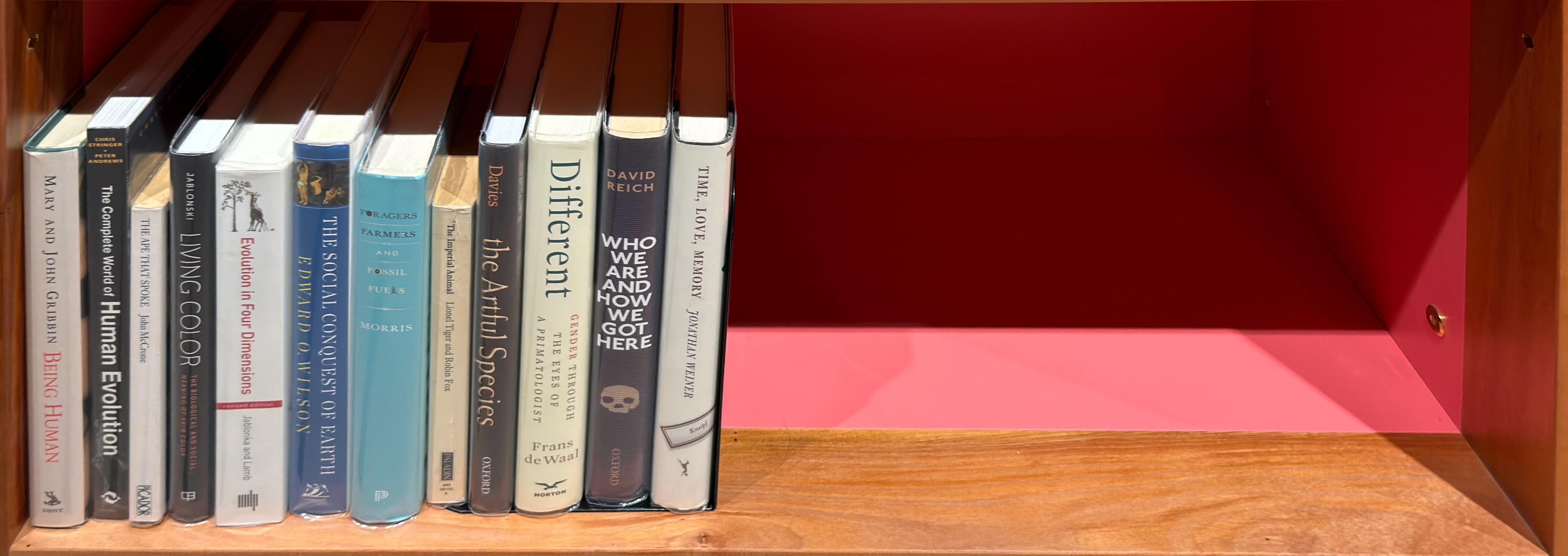 Shelf image