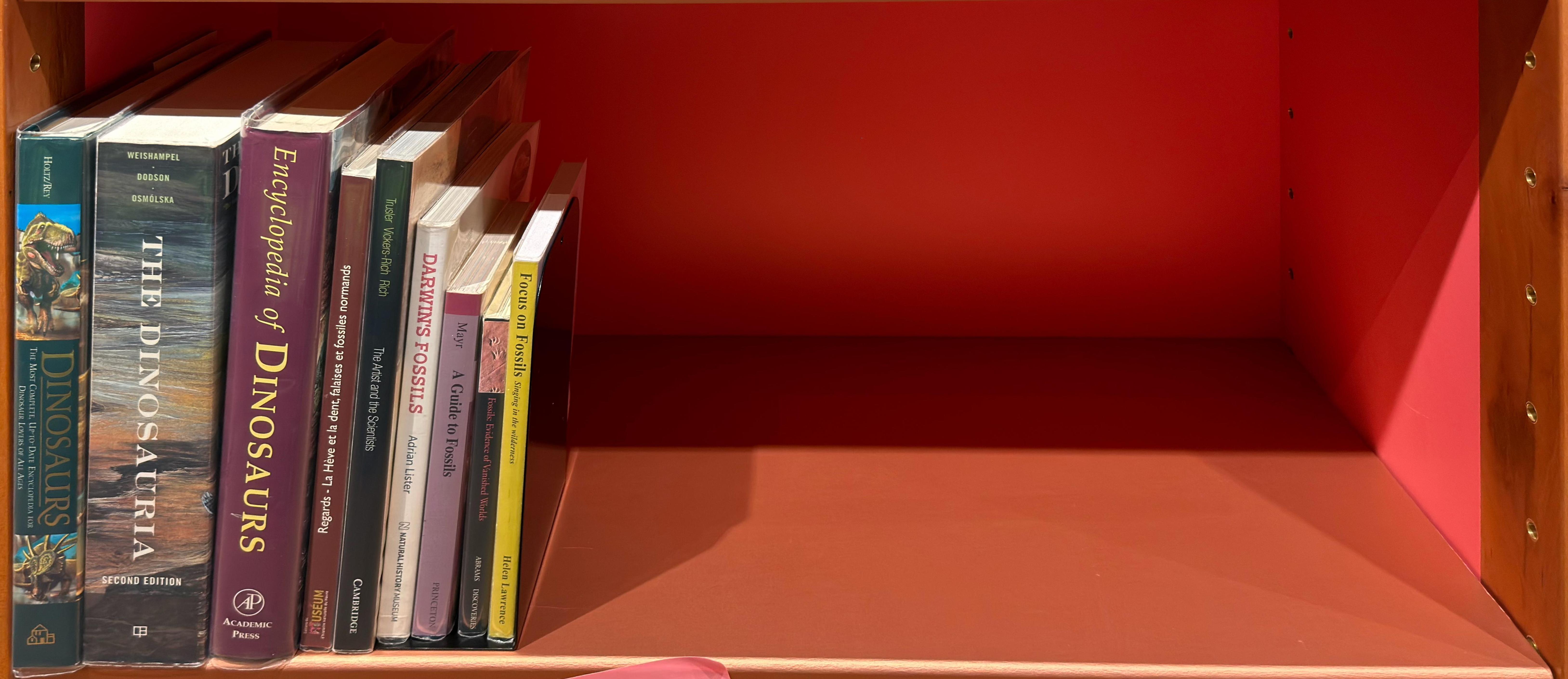 Shelf image