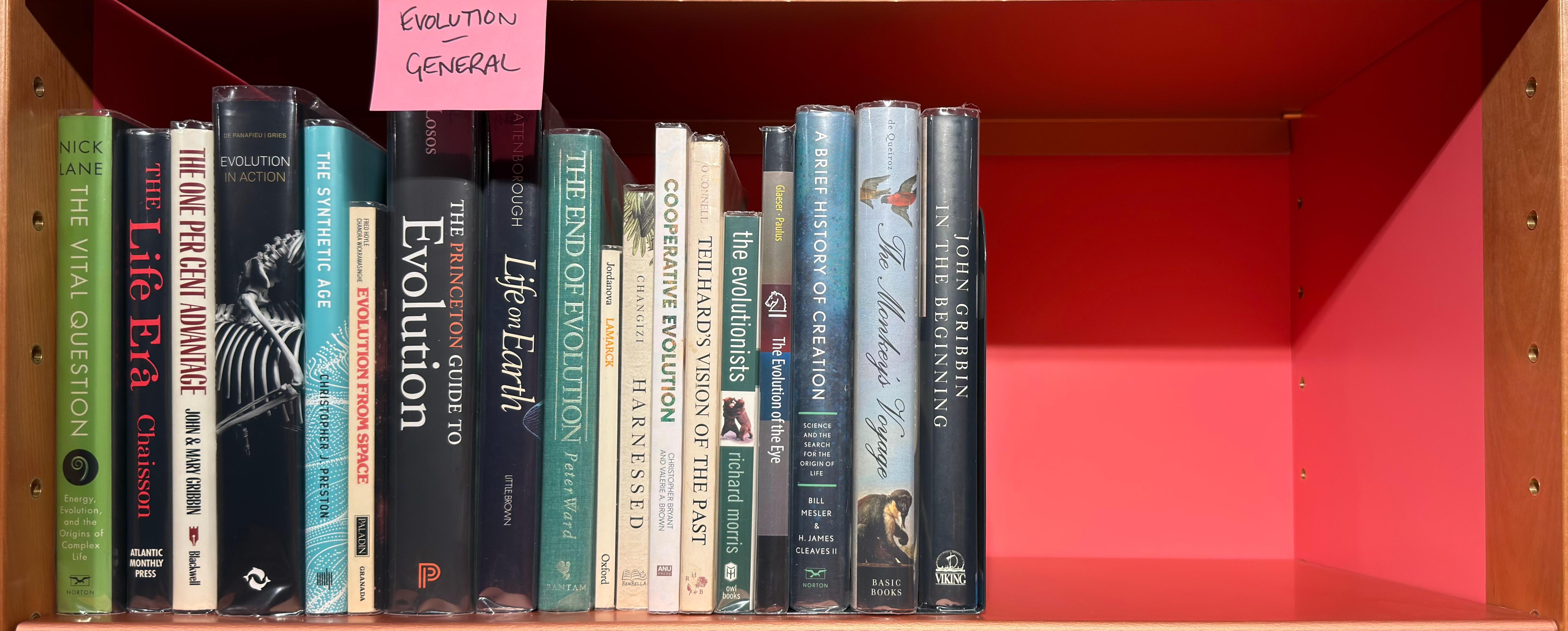 Shelf image