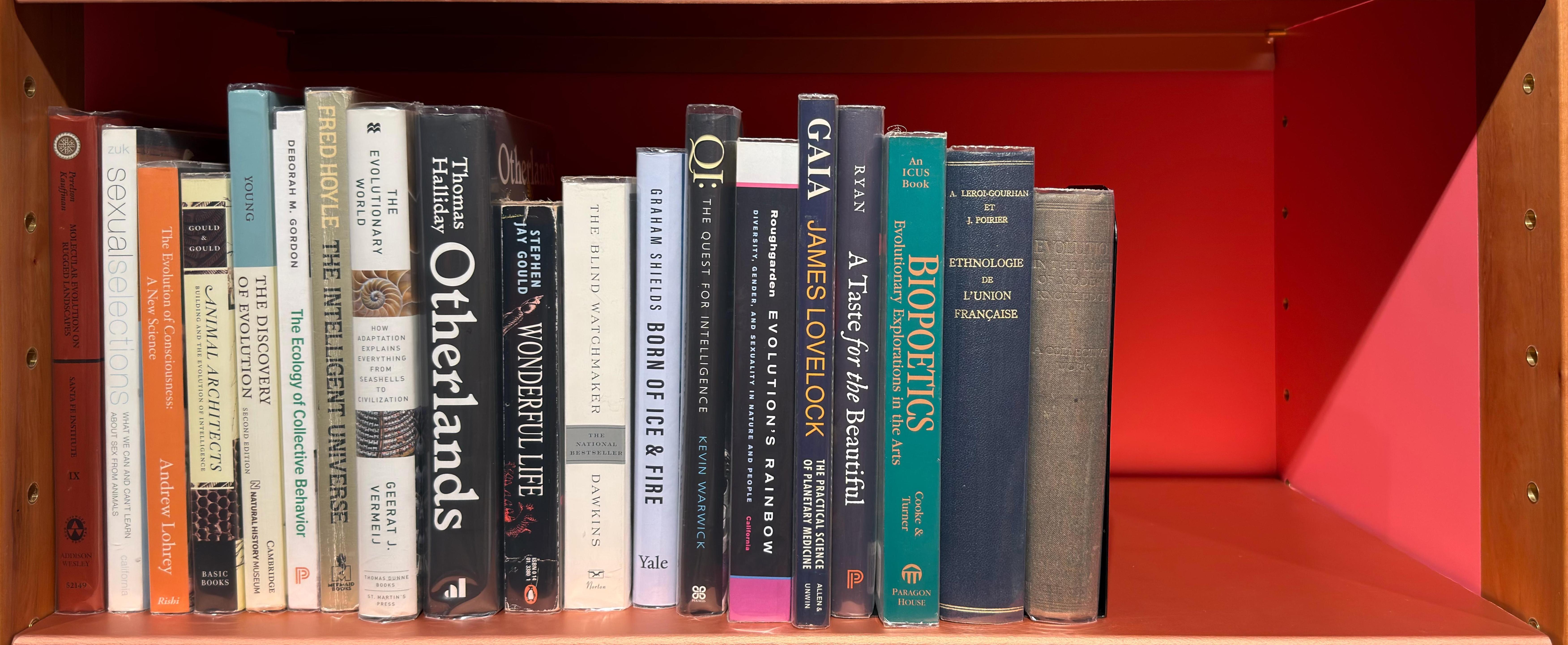 Shelf image