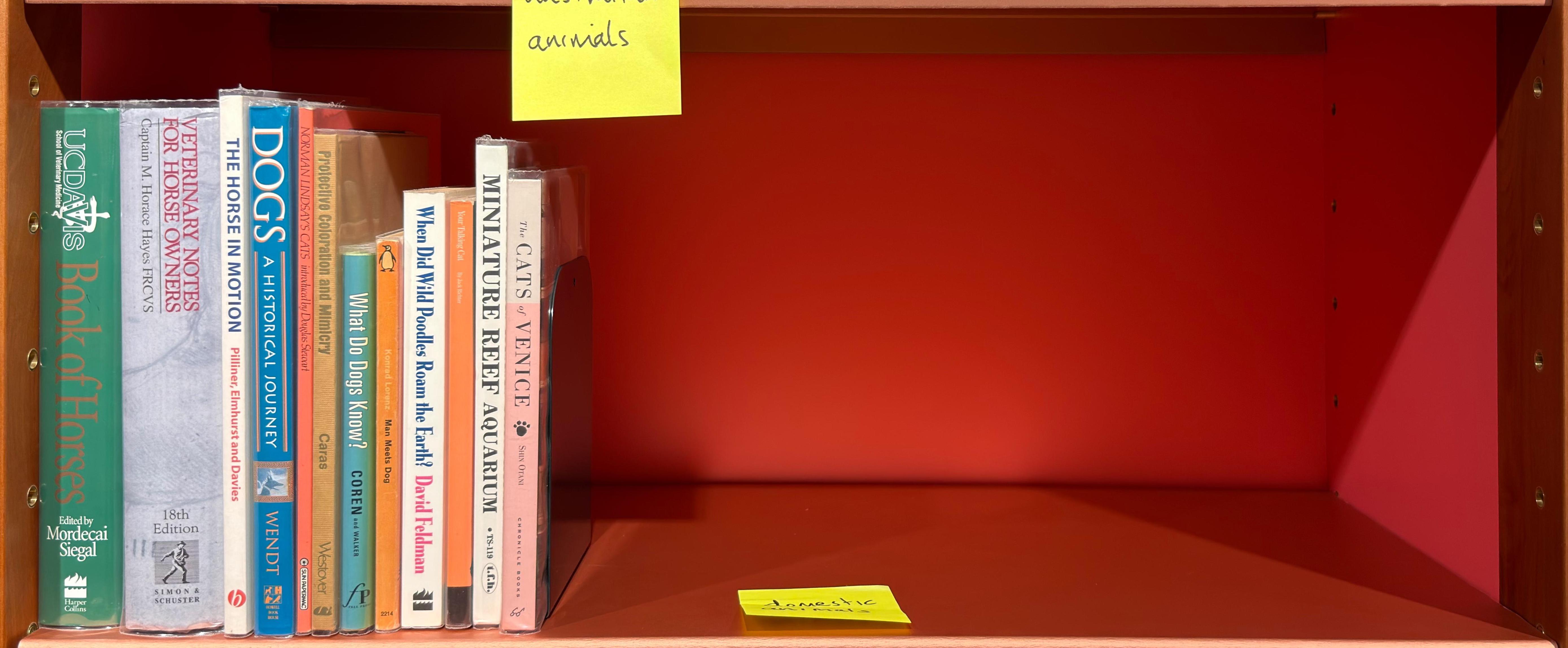 Shelf image