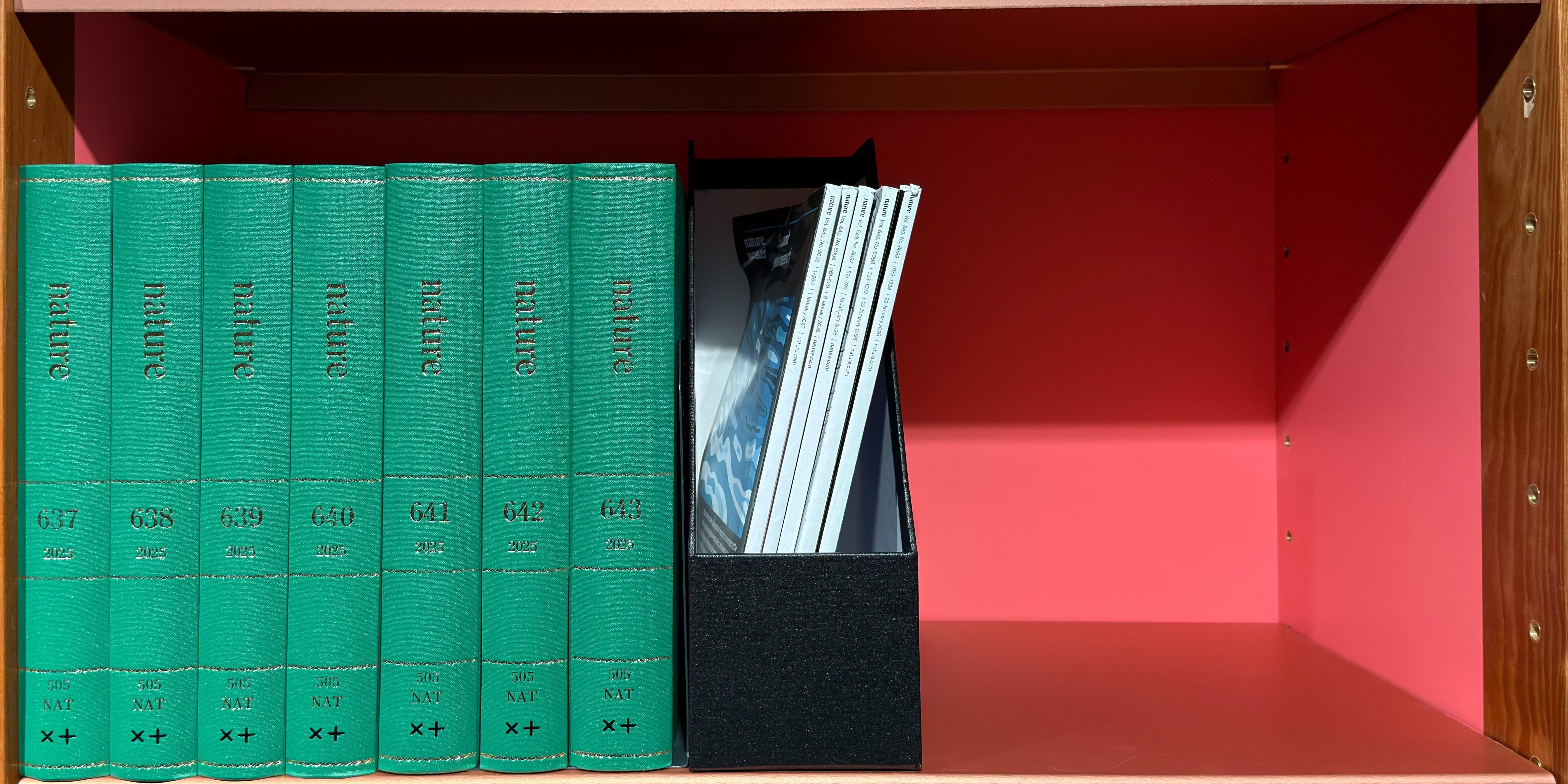 Shelf image