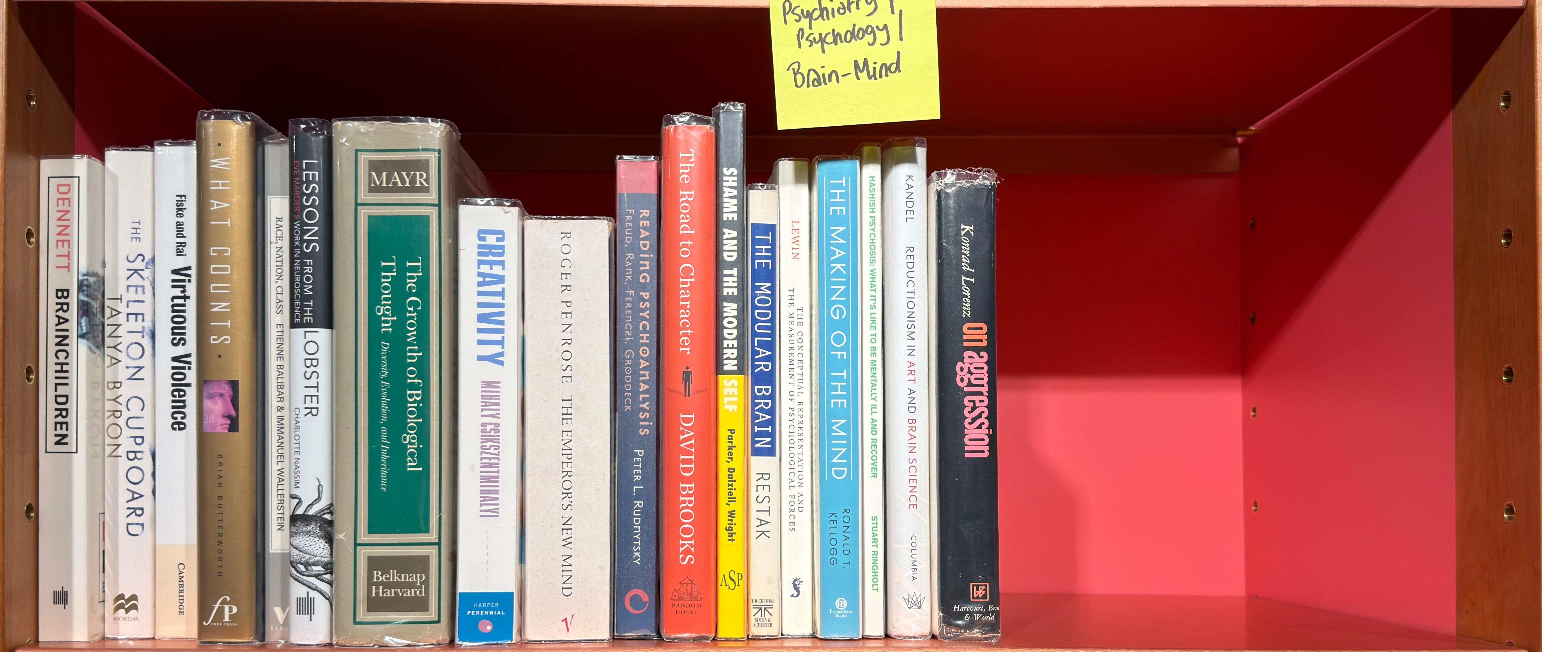 Shelf image