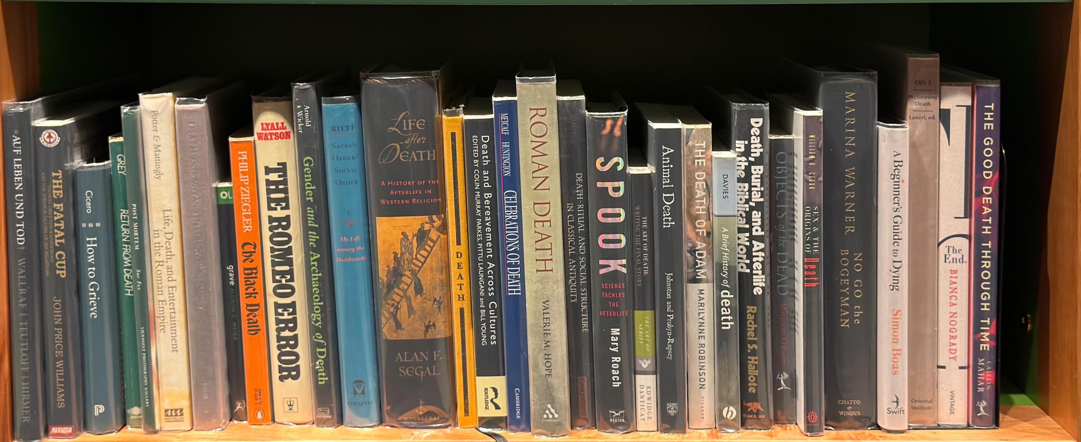 Shelf image