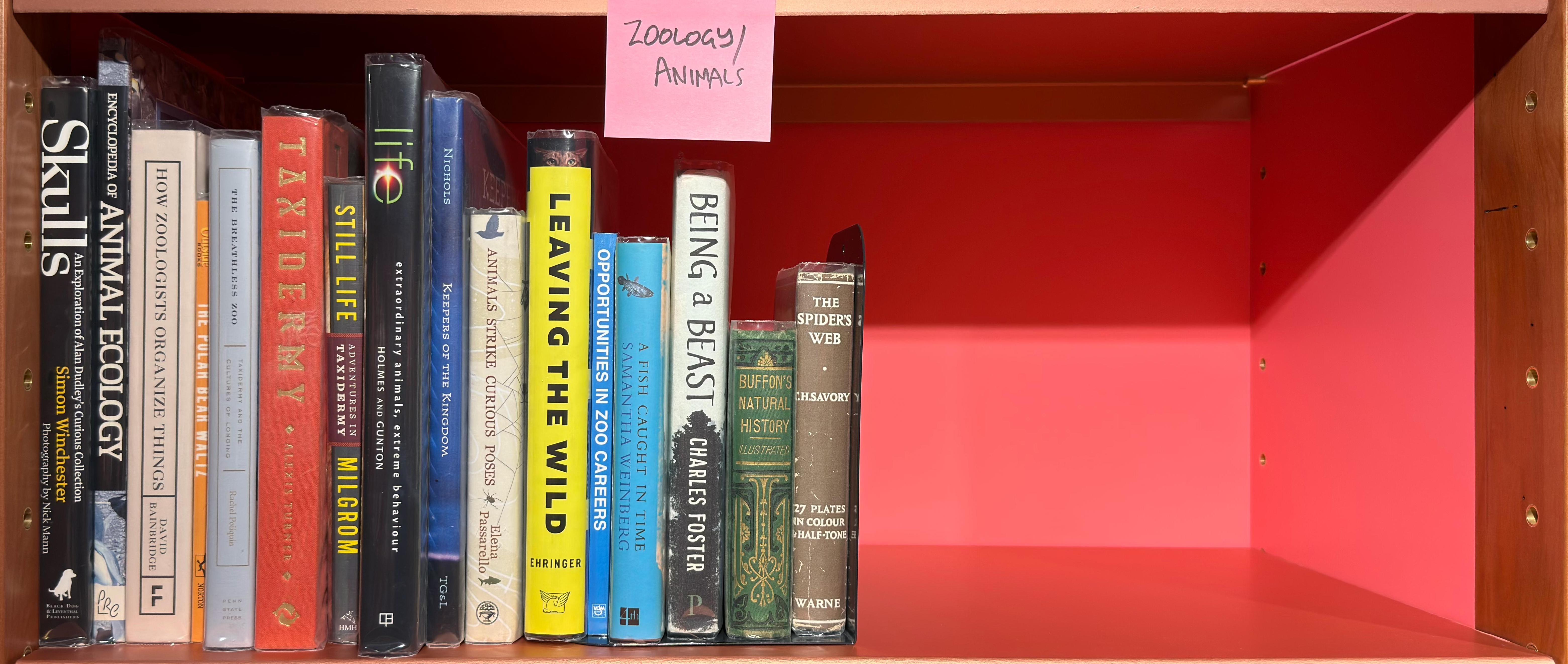 Shelf image