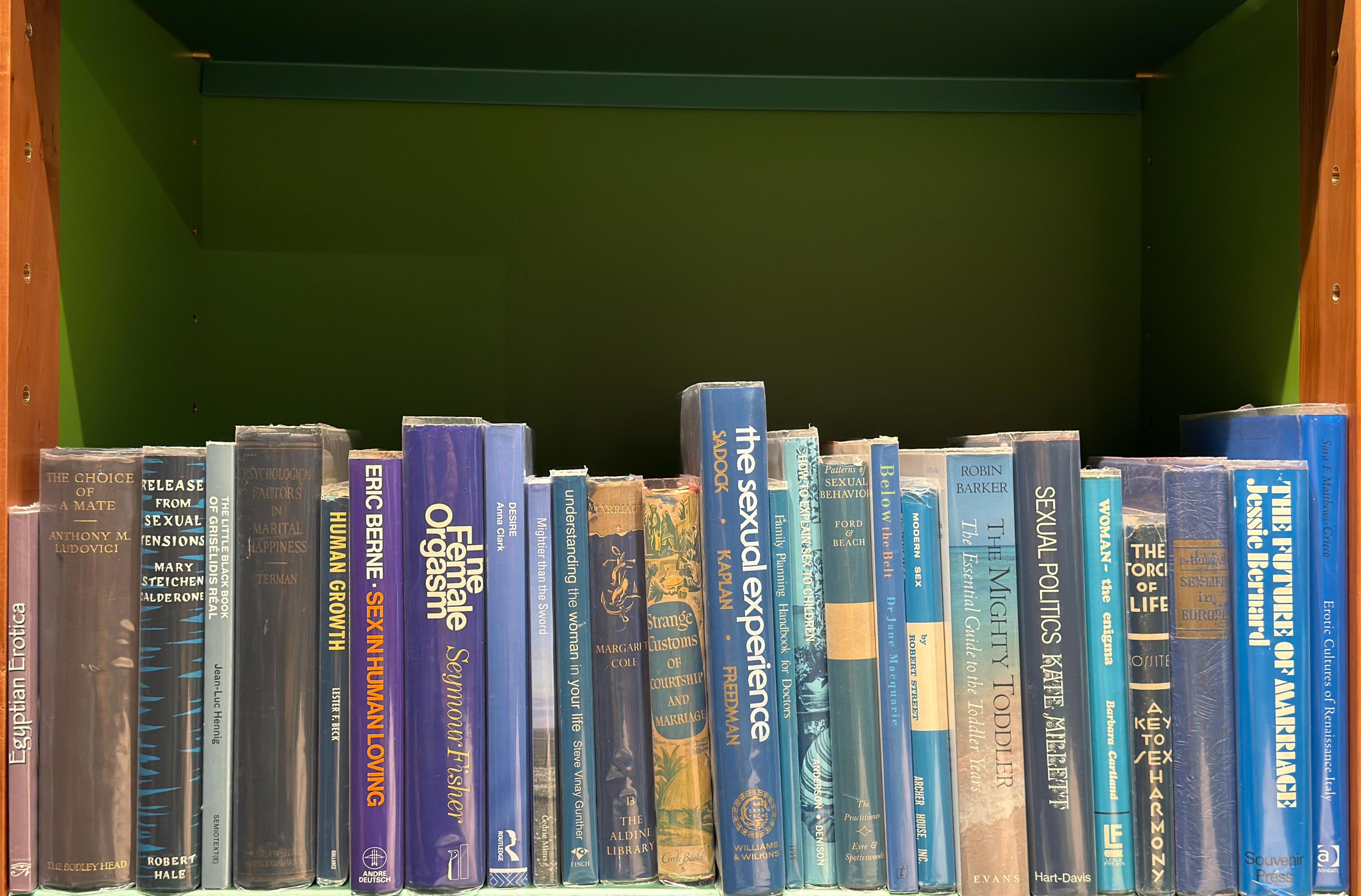 Shelf image