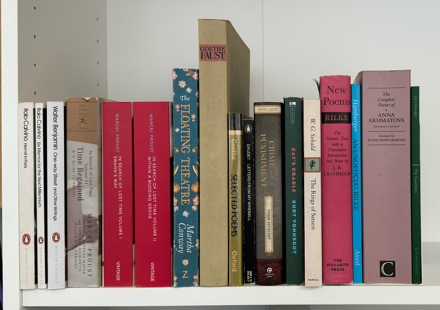 Shelf image