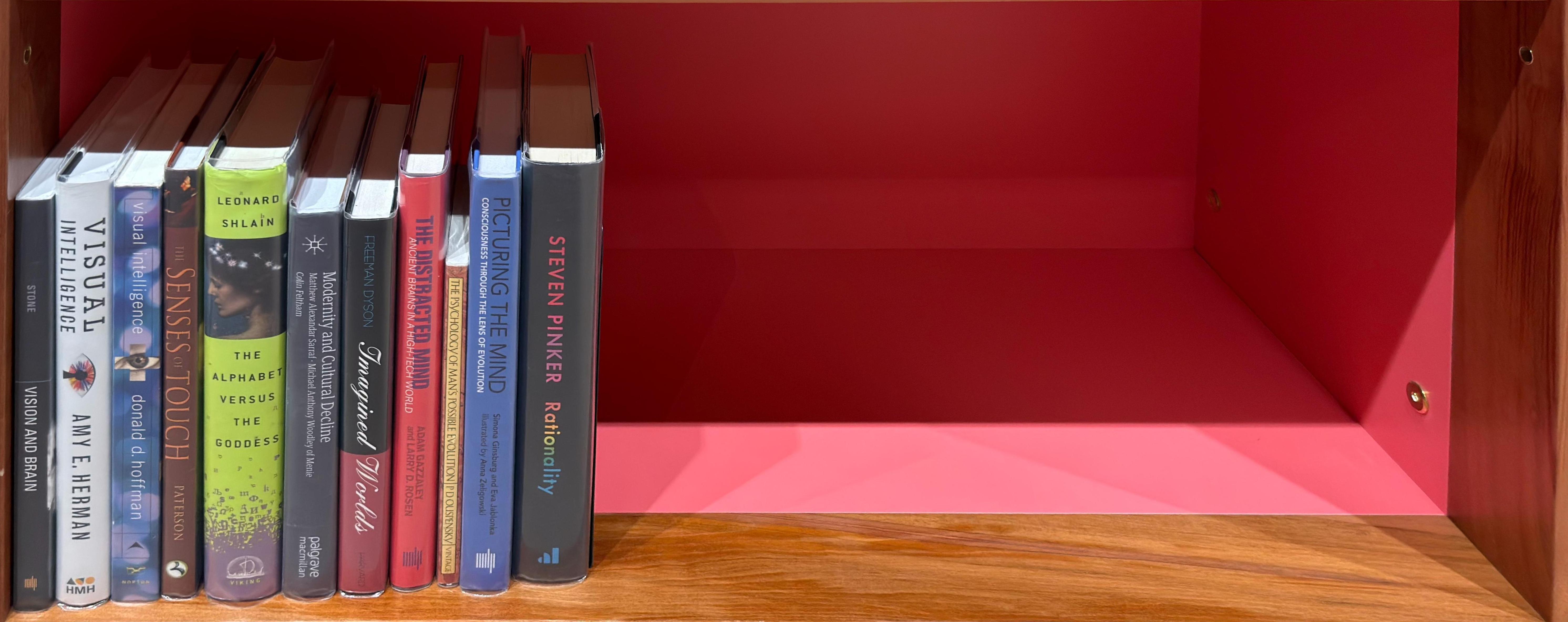 Shelf image