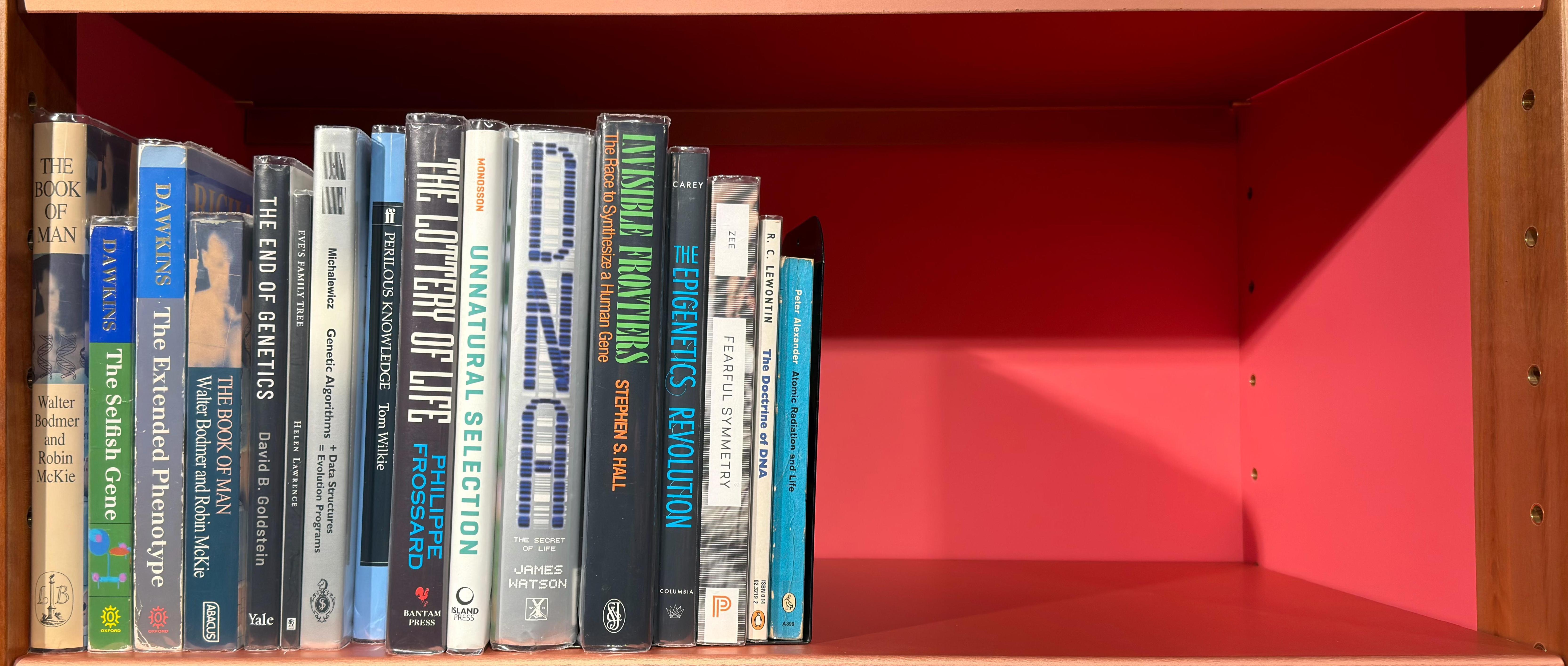Shelf image