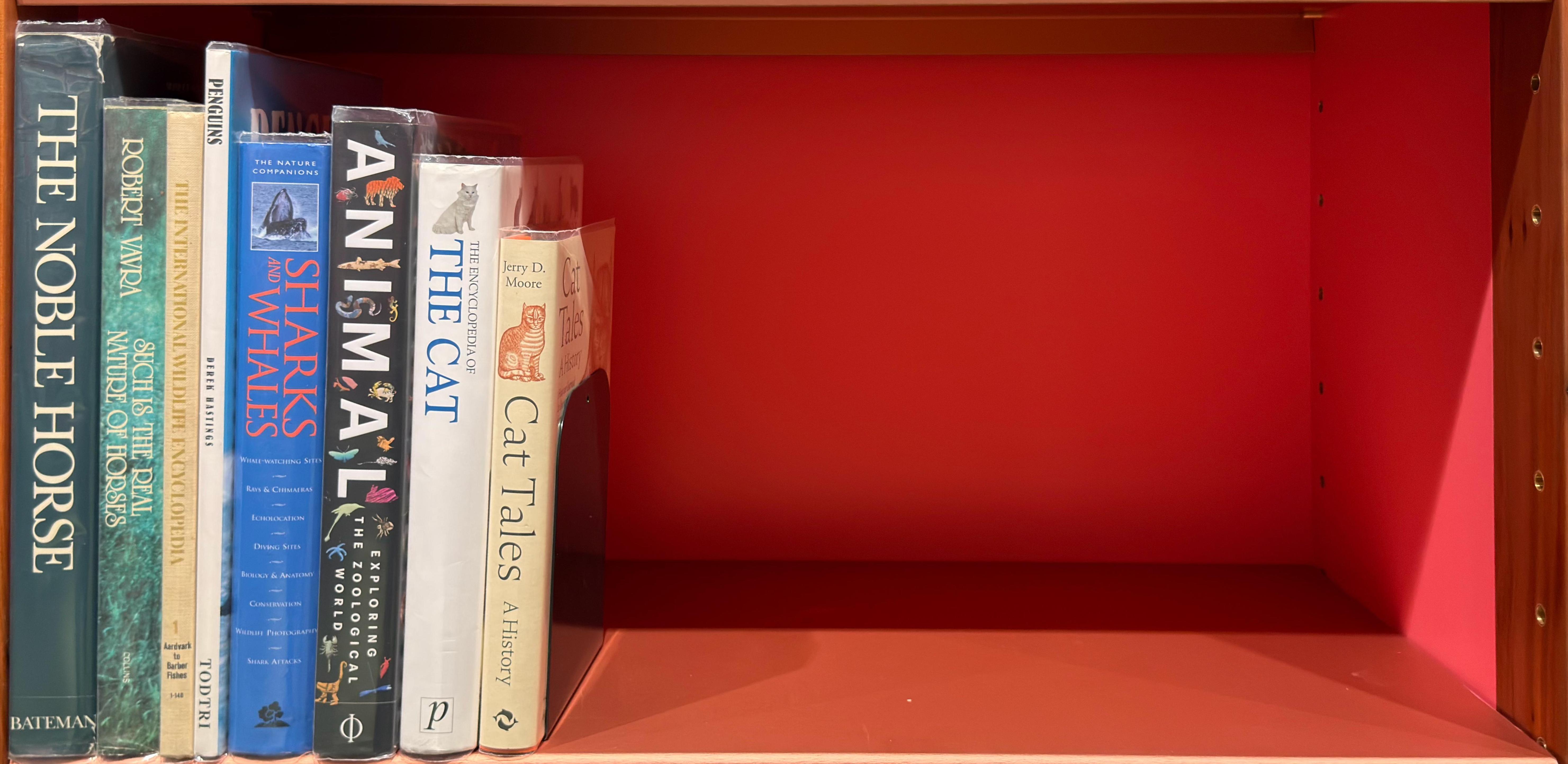 Shelf image