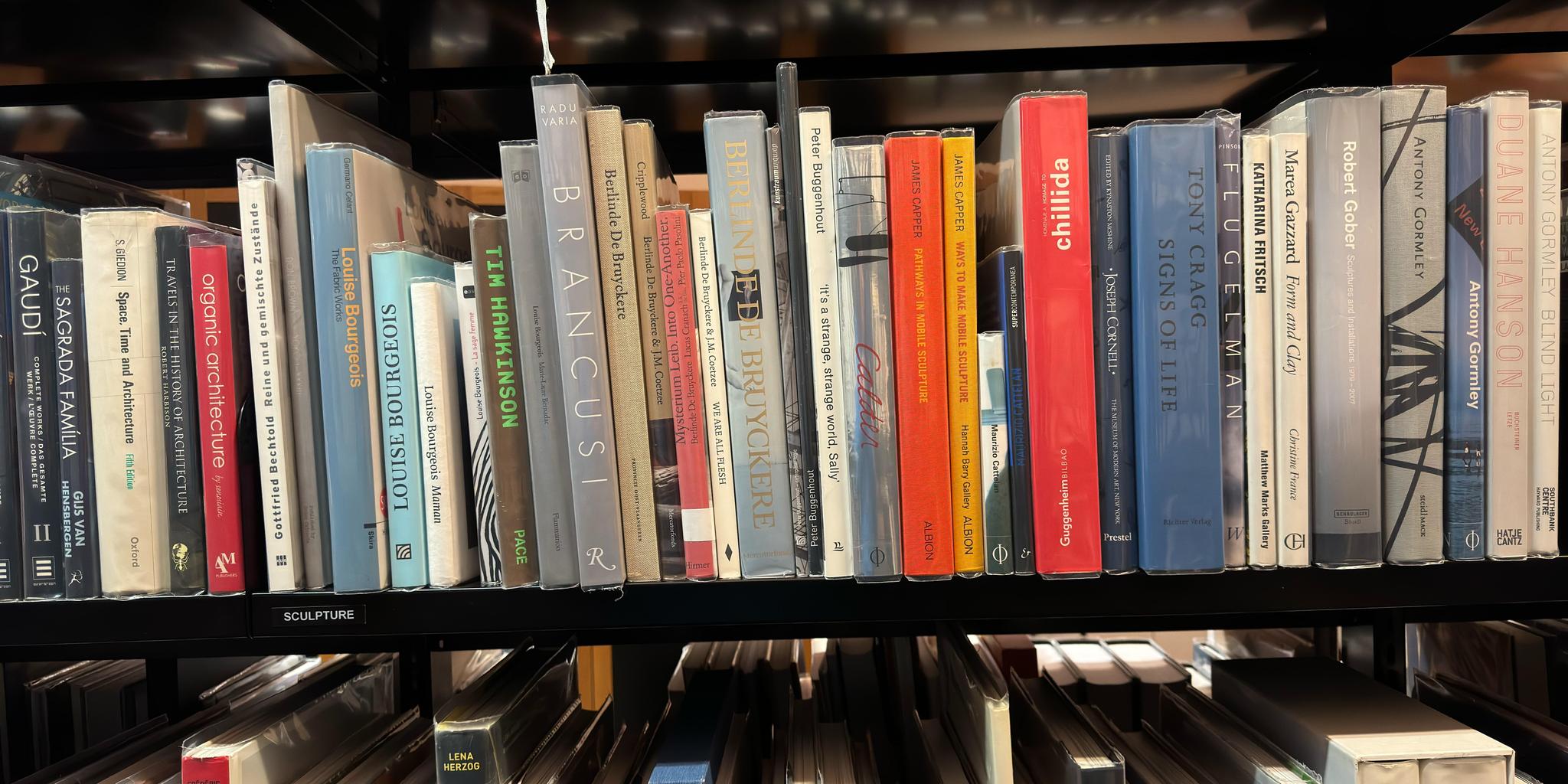 Shelf image