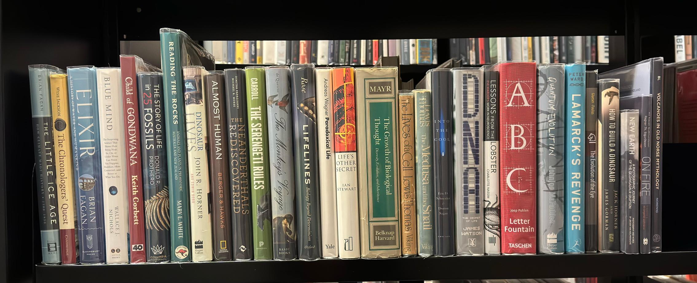Shelf image