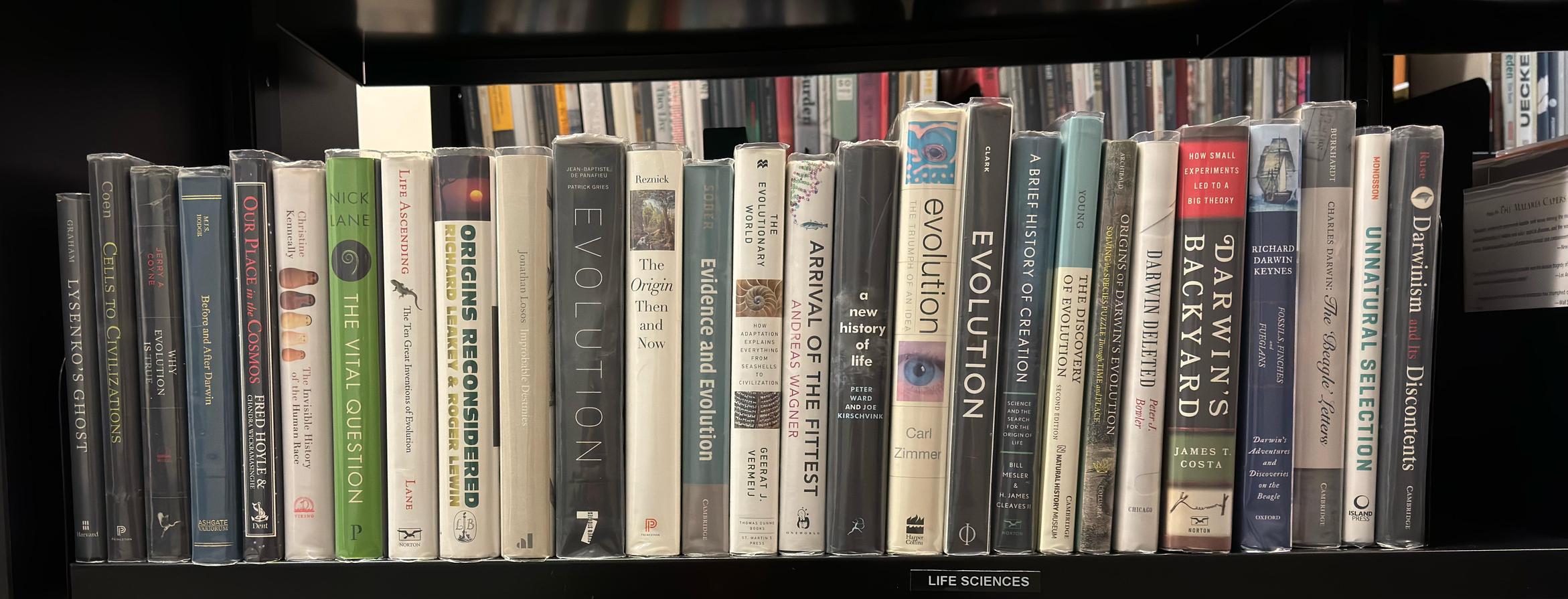 Shelf image