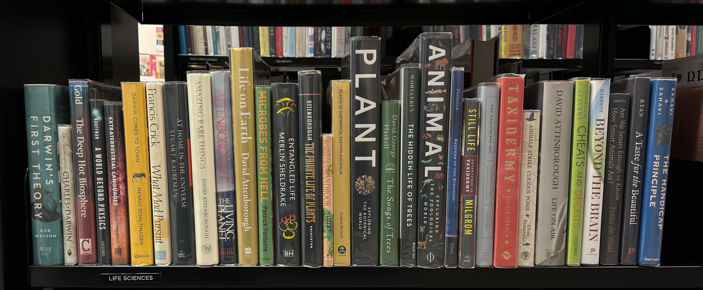 Shelf image