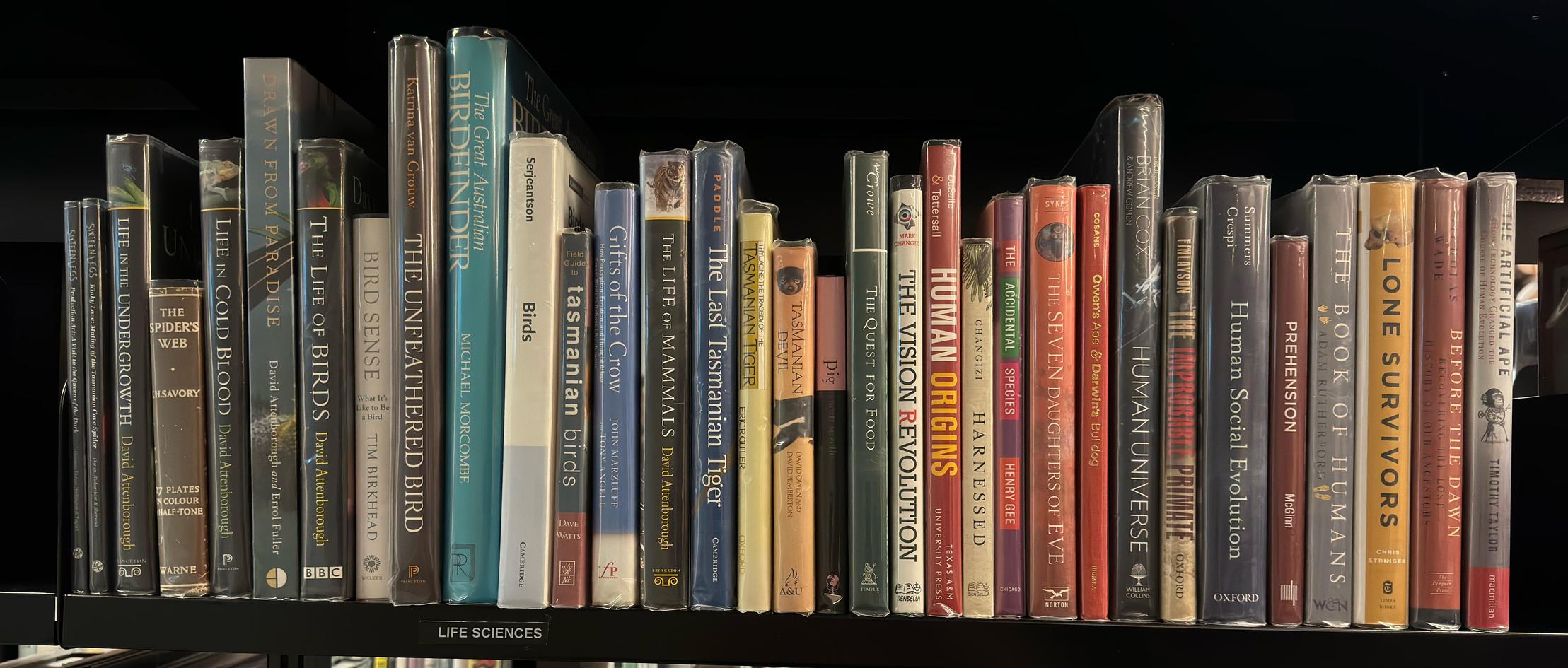 Shelf image