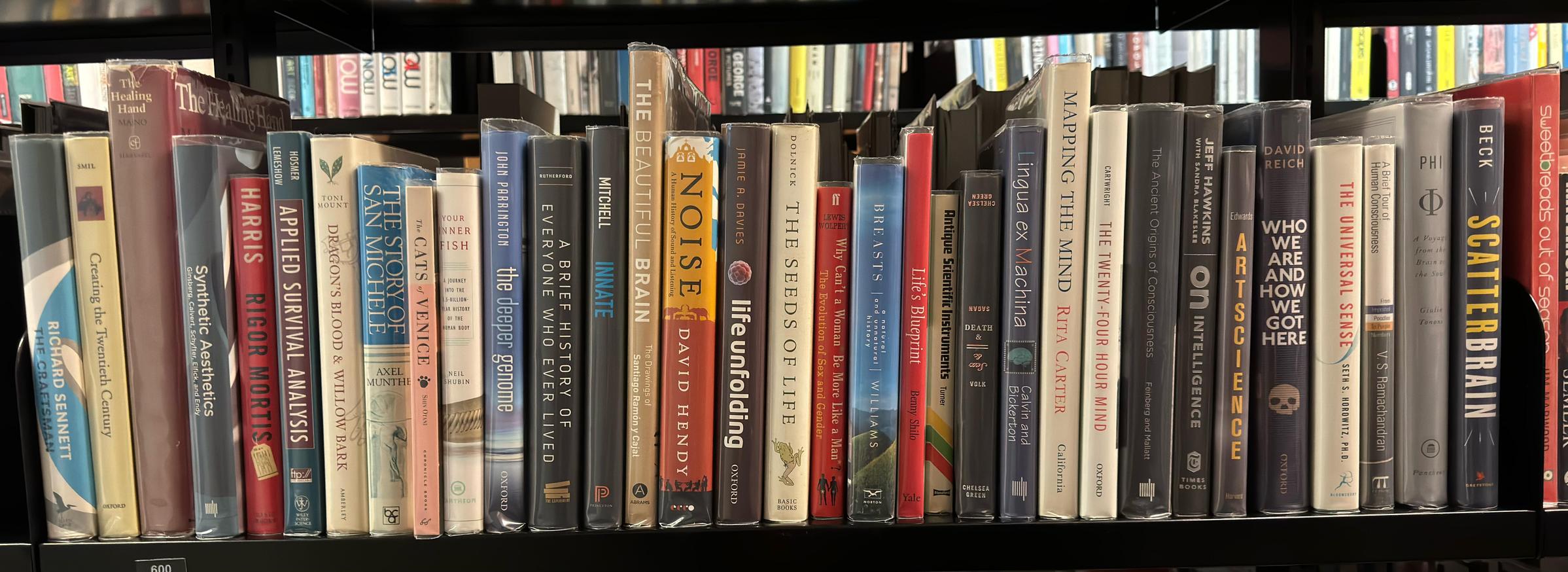 Shelf image