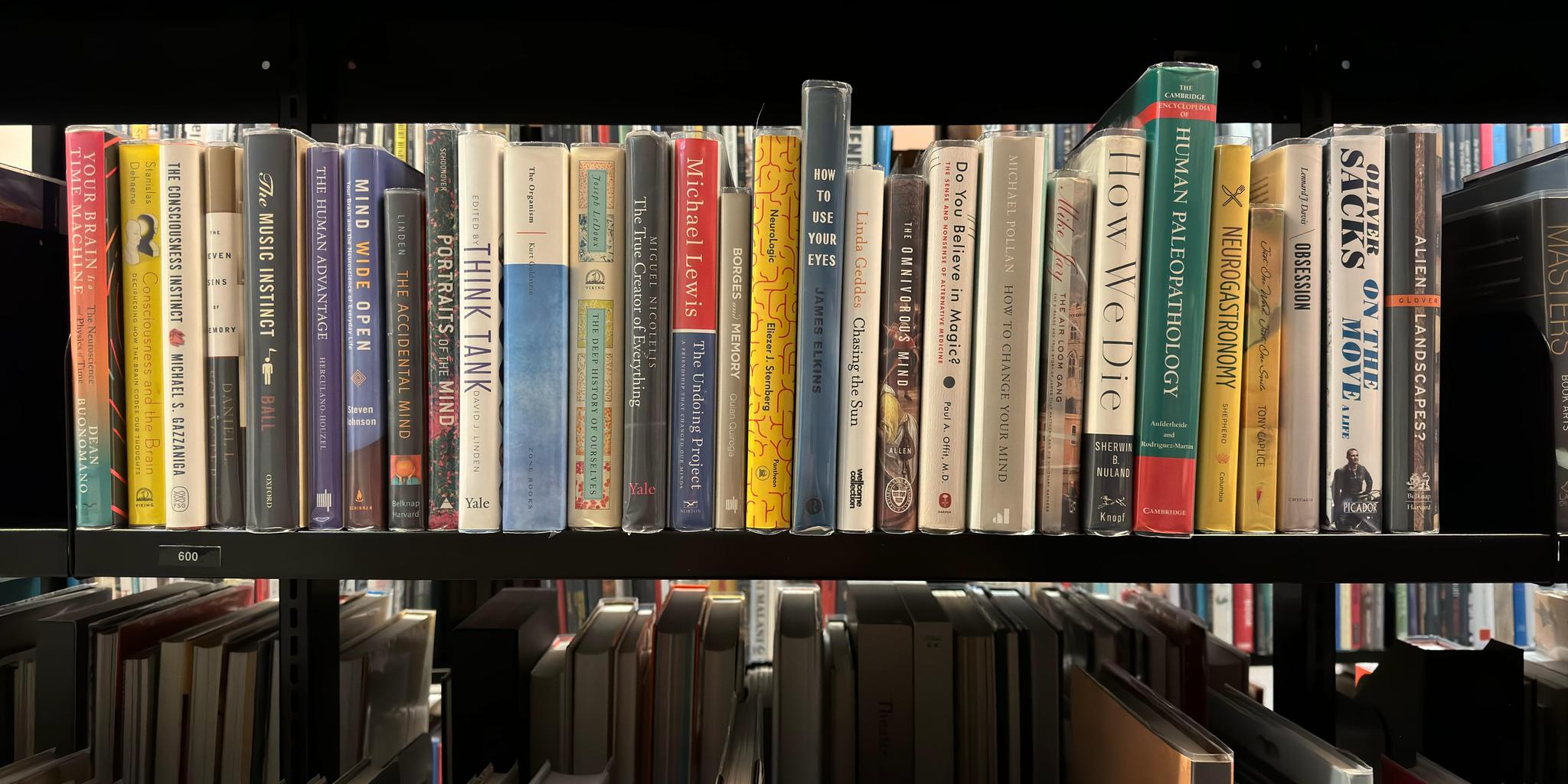 Shelf image
