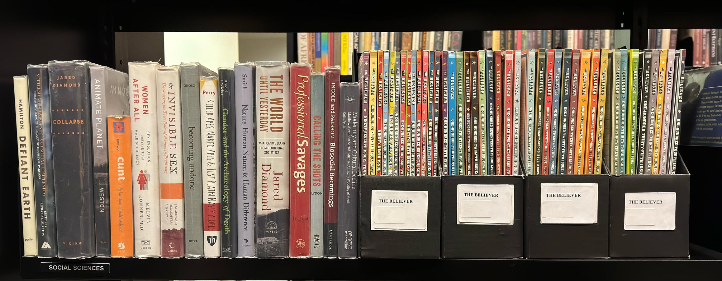 Shelf image