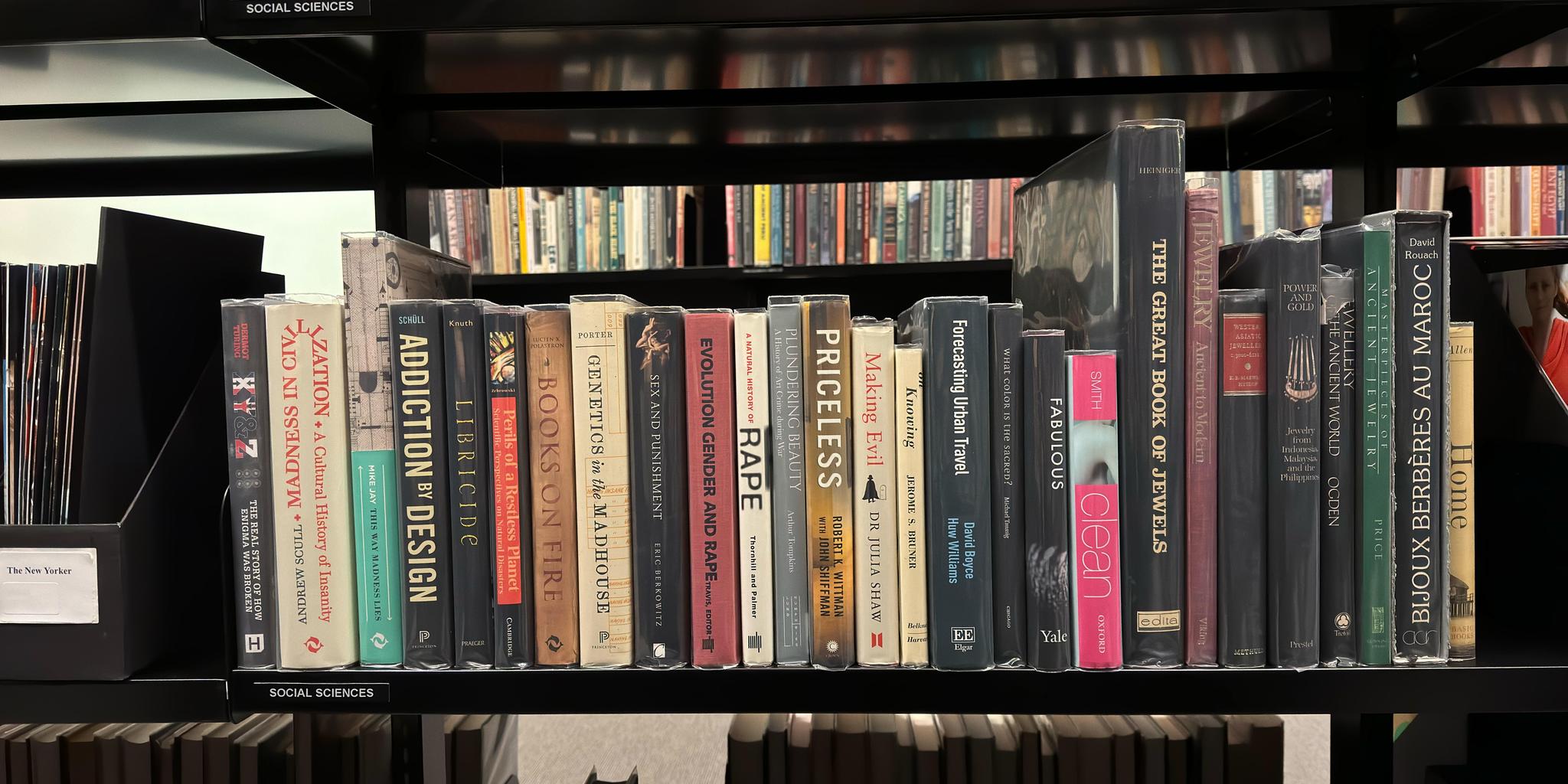 Shelf image