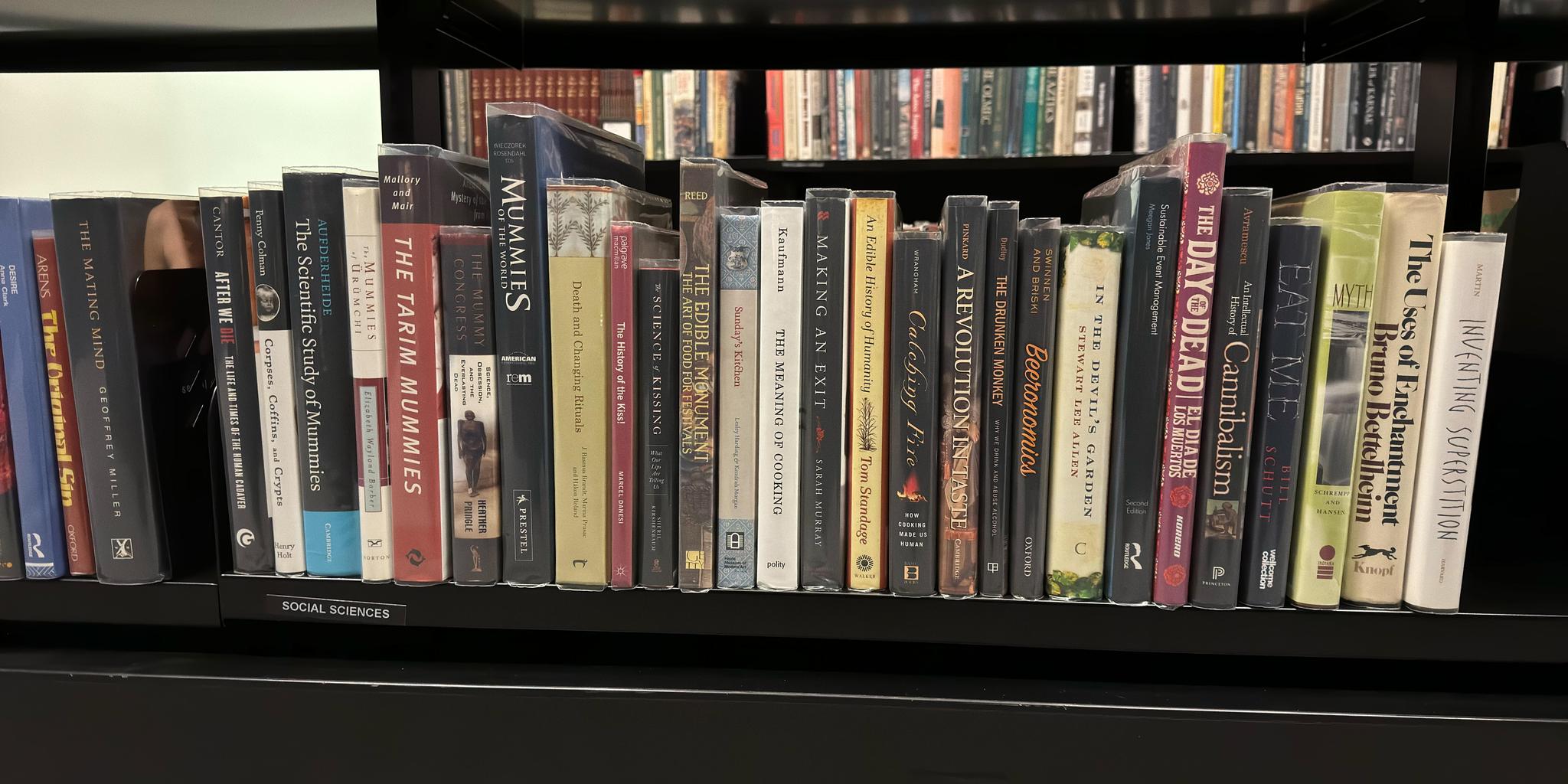 Shelf image